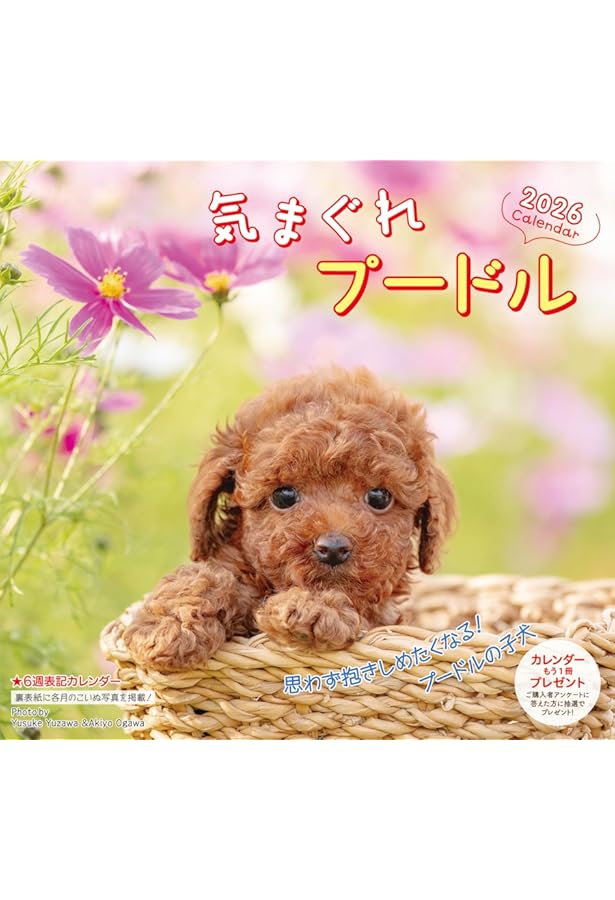 I LOVE プードルカレンダー 2026（月めくり/壁掛け）(ネコ